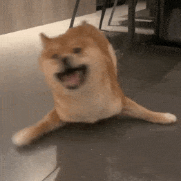 沙雕搞笑的动态微信表情包