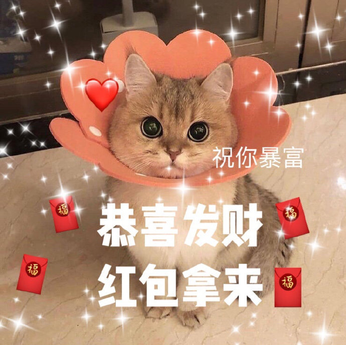 2021新一年的愿望祝愿微信表情包