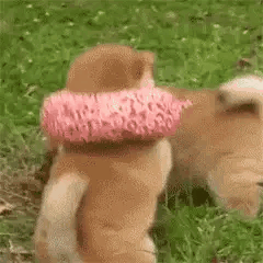 撒娇撩人可爱动态微信表情包