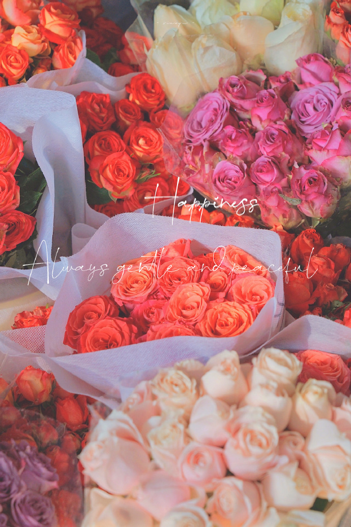 超美的鲜花个性微信头像