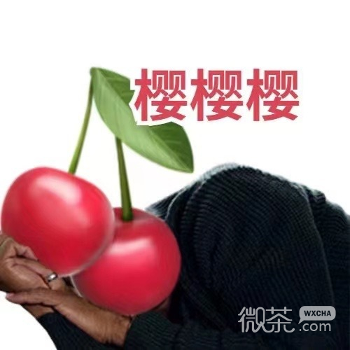 进化版的水果搞笑微信表情包