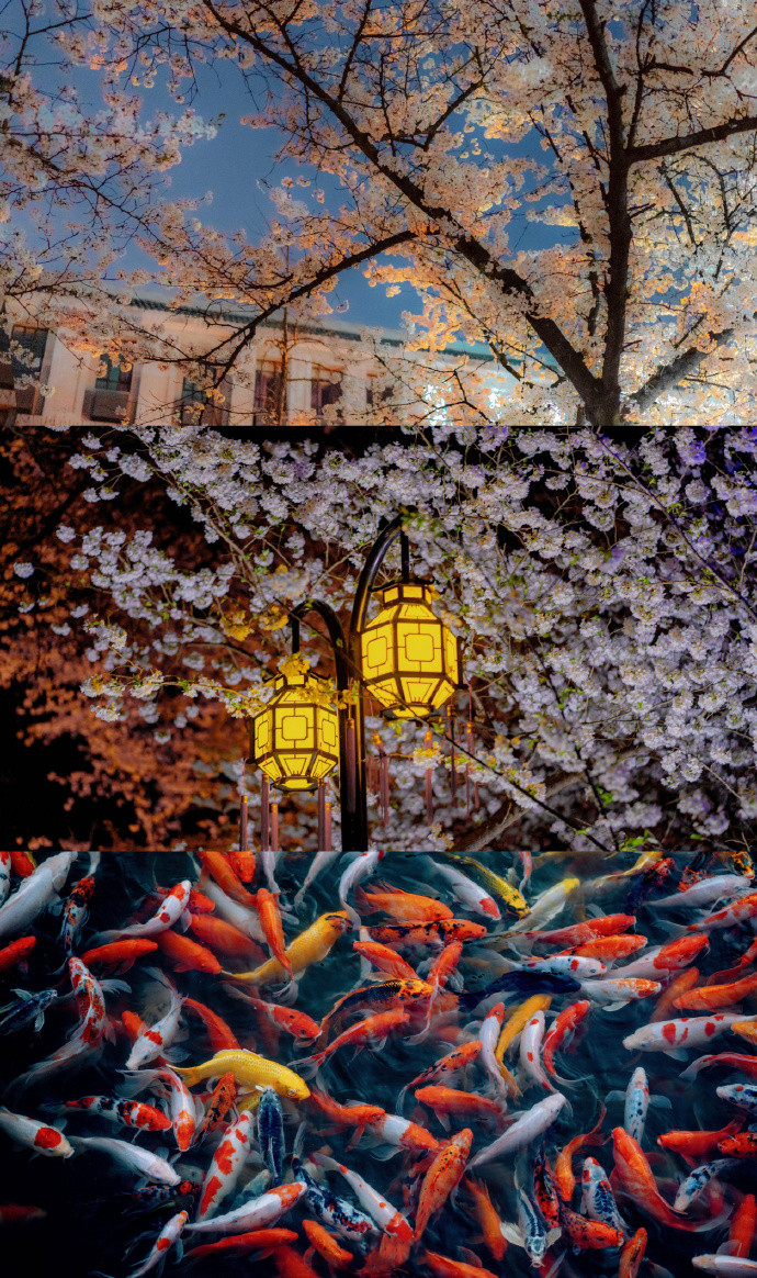 春的三屏清新聊天背景图