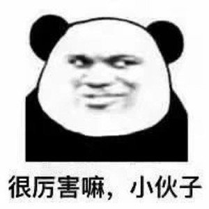 沙雕真实熊猫头微信表情包