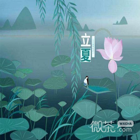 立夏好看的微信素材图片