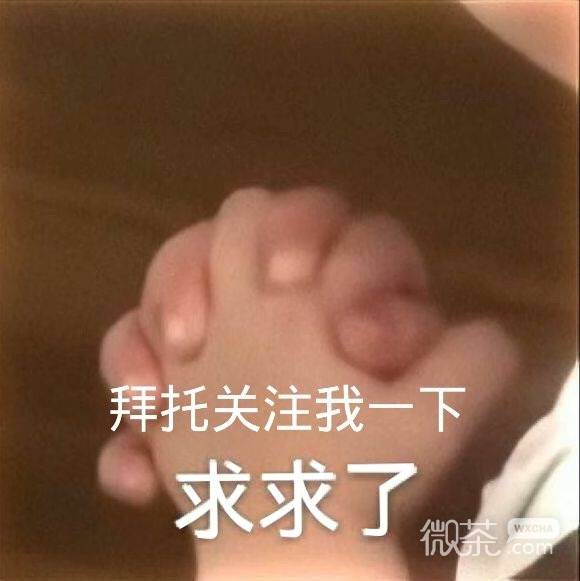 求关注套系微信表情包