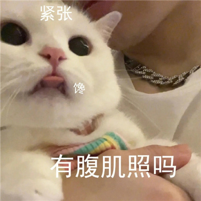 涩涩系列表情包