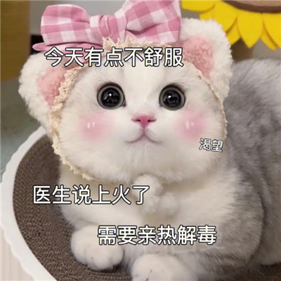 涩涩系列表情包