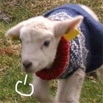 动物叹气可爱微信头像