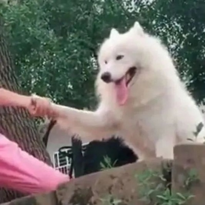 搞怪逗比的情侣微信头像