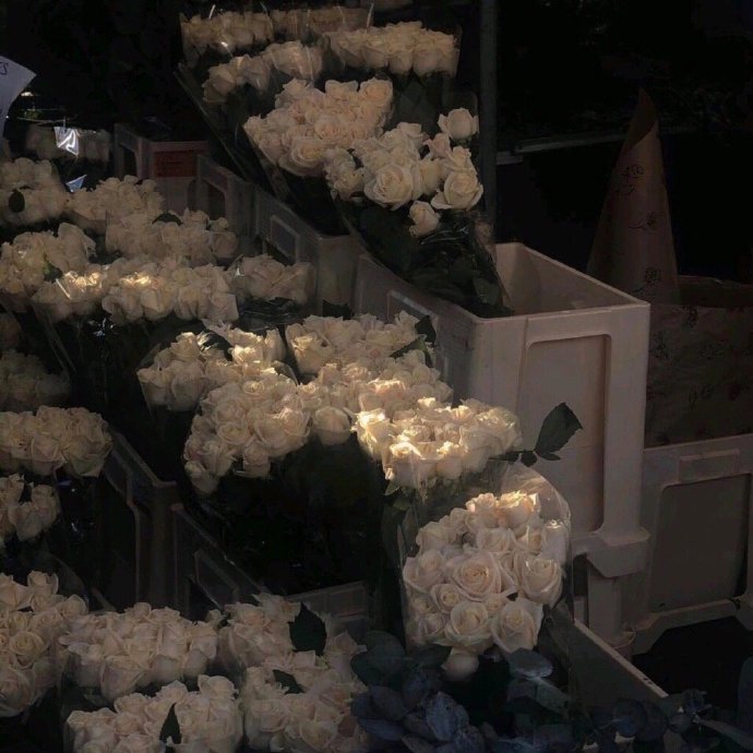 有感觉有意境的微信朋友圈背景图