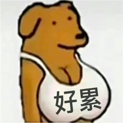 有趣又很好玩的打招呼表情包