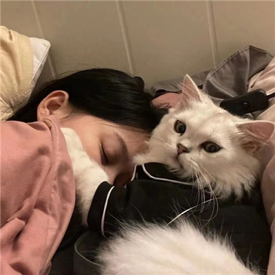 看着困困的头像