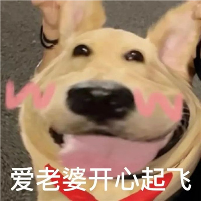 很高效的聊天表情包