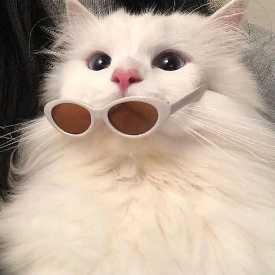 02.10抖音最火头像