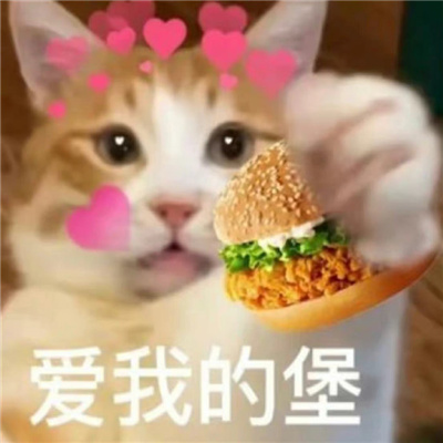 舍不得删的沙雕表情包