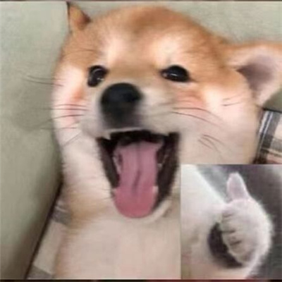 第一次聊天打招呼的表情包