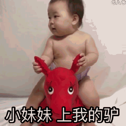 黄夏温骑玩具毛驴搞笑微信表情包
