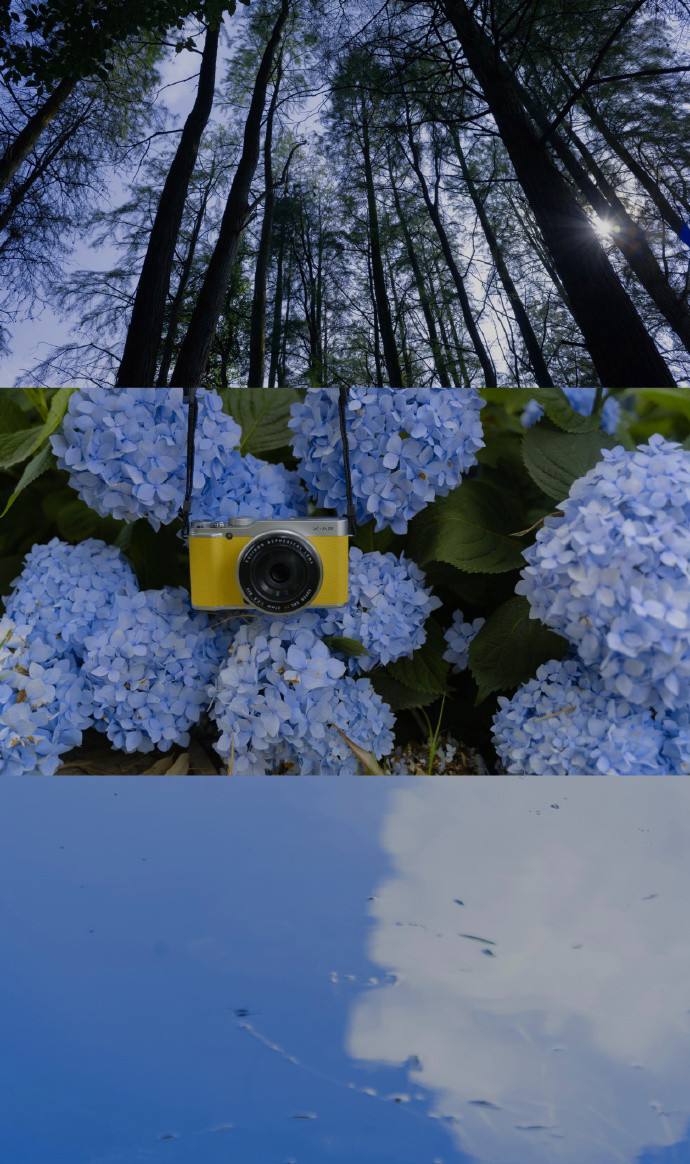 春的三屏清新聊天背景图