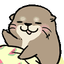 超可爱的小水獭动态微信表情包