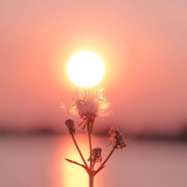 唯美意境拍照手法微信素材图片