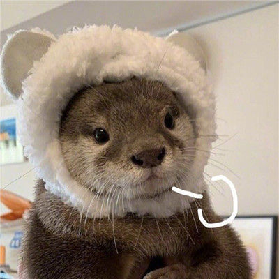 动物叹气可爱微信头像