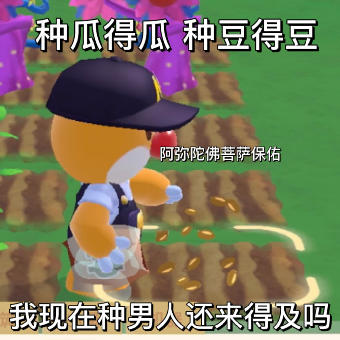 最新的摩尔庄园聊天微信表情包
