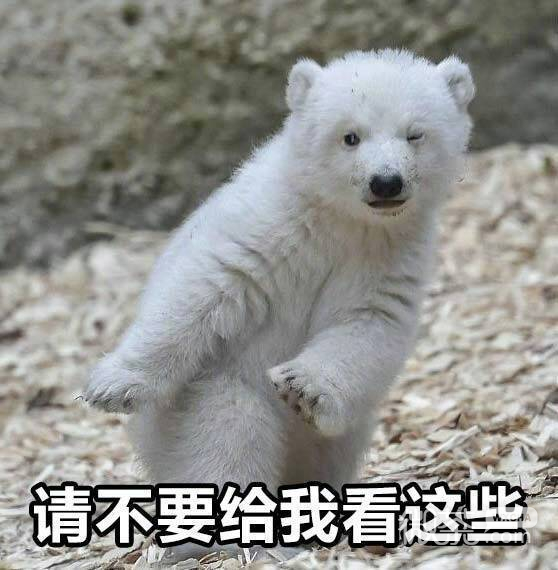 新颖沙雕微信表情包