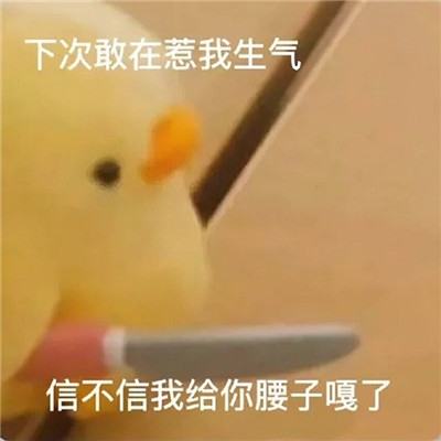 沙雕搞怪又不失可爱的表情包