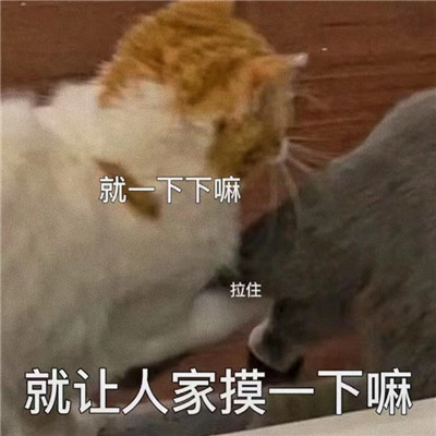 情侣之间发的色色聊天表情