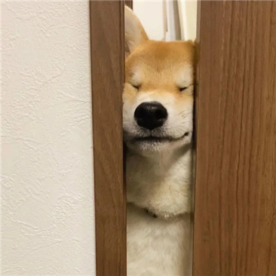 很搞怪的又很俏皮的情侣头像