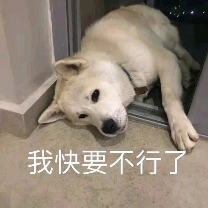 永不过时的好笑微信表情包