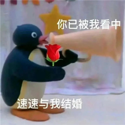 让你很喜欢的微信表情包