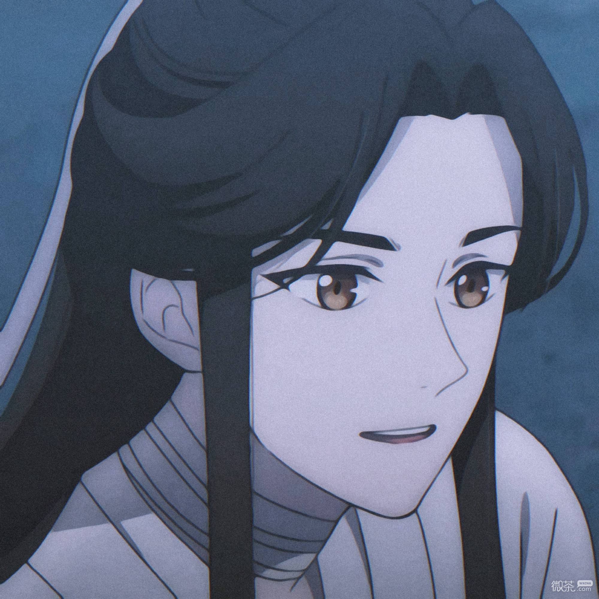 《天官赐福》仙乐太子谢怜微信头像