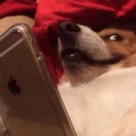 看手机沙雕表情搞笑微信头像