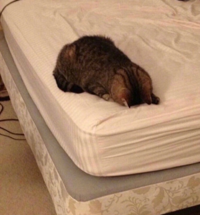 周一综合症可爱微信表情包