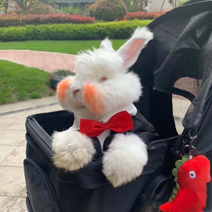 搞怪个性好看的情侣微信头像