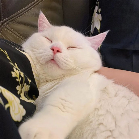 高颜值令人心心恋恋的背景图