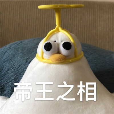 魔性海鸥搞笑微信表情包