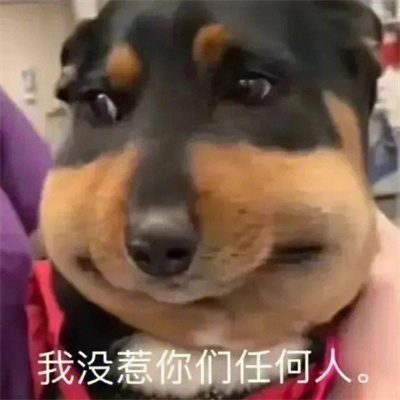 卖萌表情全新可爱