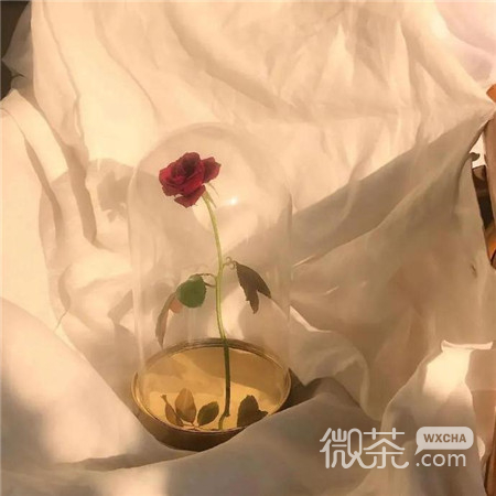 有个性的微信背景图