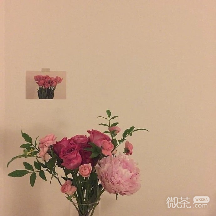 各种花束好看的微信背景图