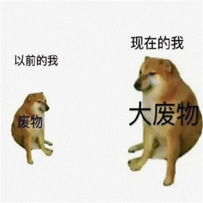 关于自己精准认知搞笑微信表情包