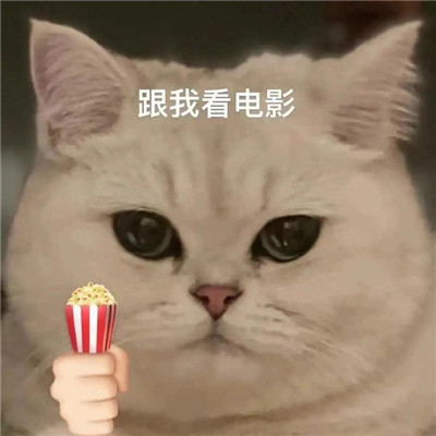 猫猫送花超萌超可爱表情包