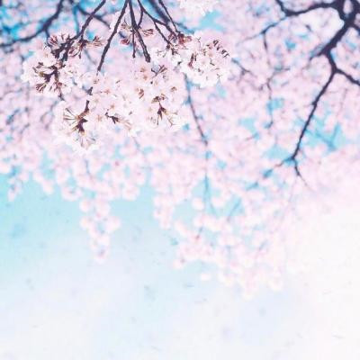 中年妈妈的个性微信头像