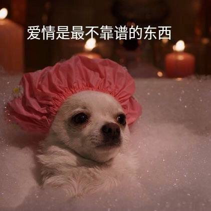 最新沙雕好玩的搞笑微信表情包