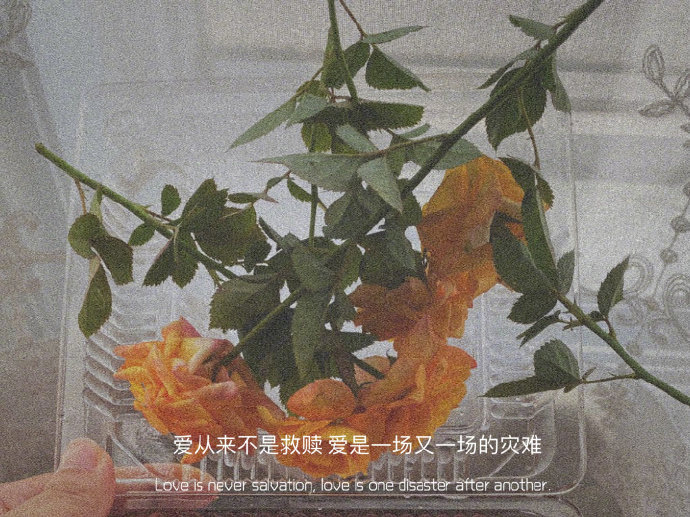 精选优质的微信聊天背景图