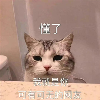 有趣又很好玩的打招呼表情包