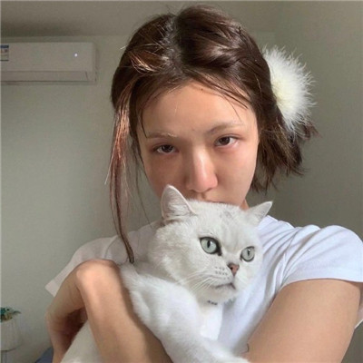 抱着猫的高颜值女生微信头像