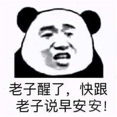 最新出炉的熊猫头微信表情包