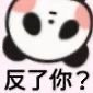 圆滚滚可爱小熊猫沙雕微信表情包